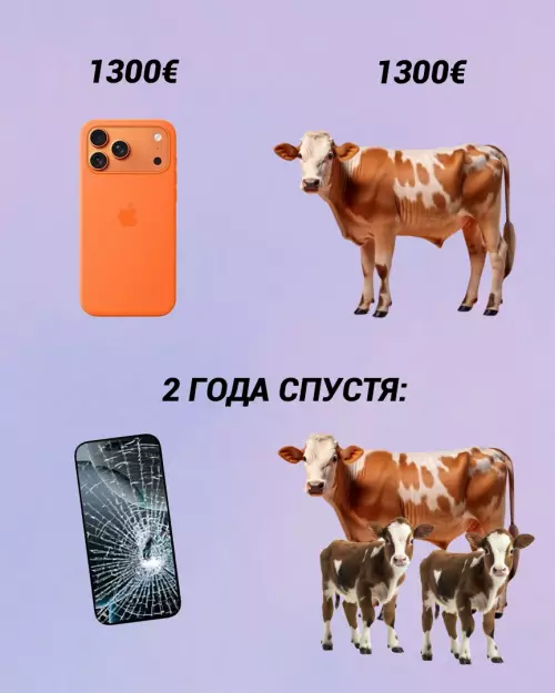 Смешная картинка №782848 О выгодных вложениях: