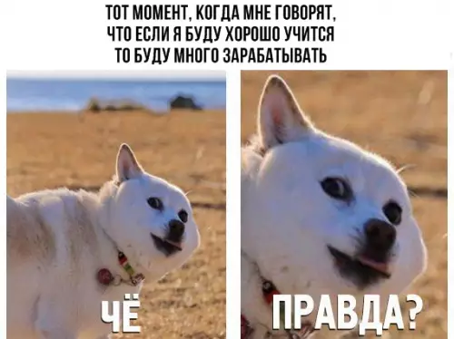 Смешная картинка №288846
