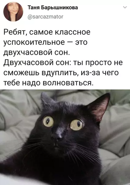 Смешная картинка №500330