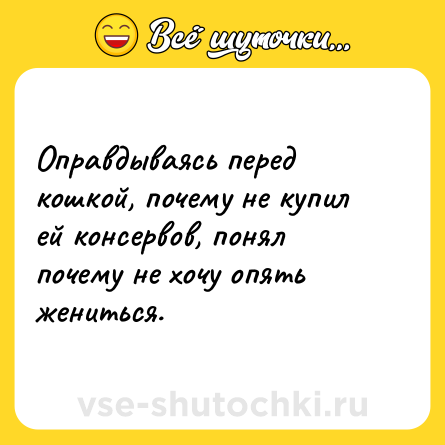 Шутка: Оправдываясь перед кошкой, почему не купил ей консервов, понял почему не хочу опять жениться.