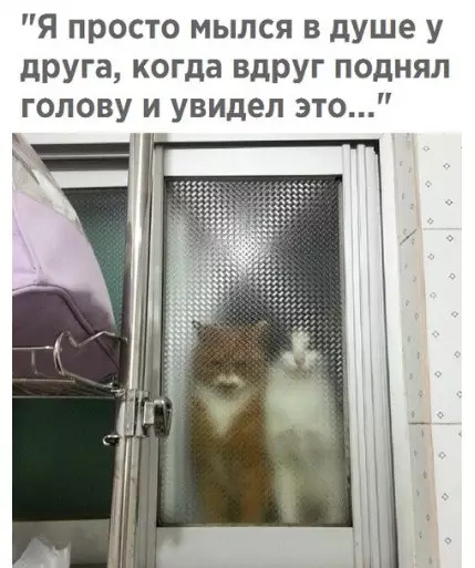 Смешная картинка №373285