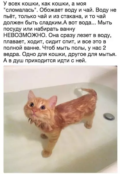 Смешная картинка №208652
