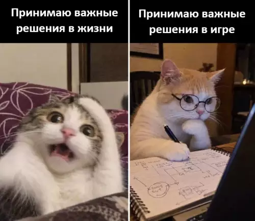Уровни принятия решений 😹 - Принимаю важные решения в жизни Принимаю важные решения в игре