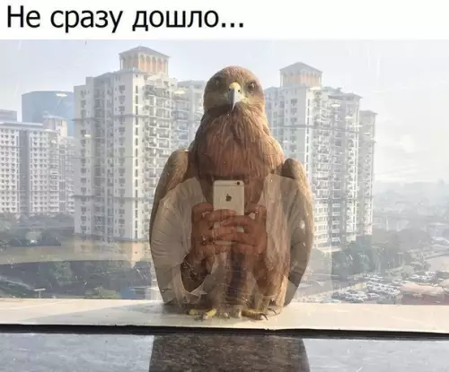 Смешная картинка №271699