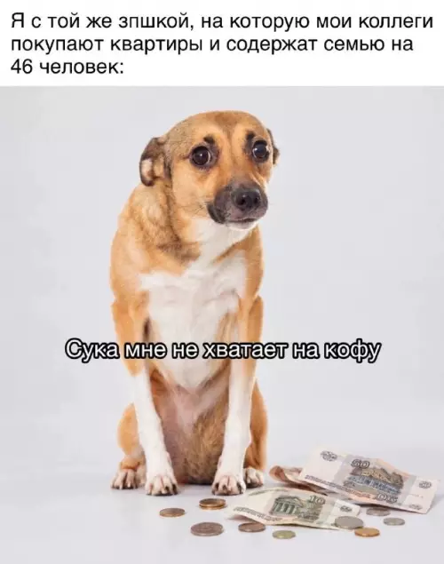 Когда зарплата — это просто пыль ☕️😂 - с той же зпшкой, на которую мои коллеги покупают квартиры