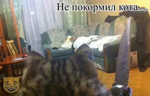 Смешная картинка №323463