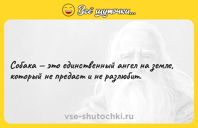 Цитата: Собака это единственный ангел на земле, который не предаст и не разлюбит.