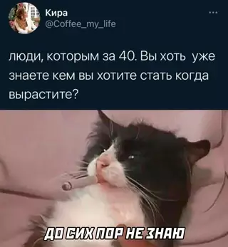 Смешная картинка №652907