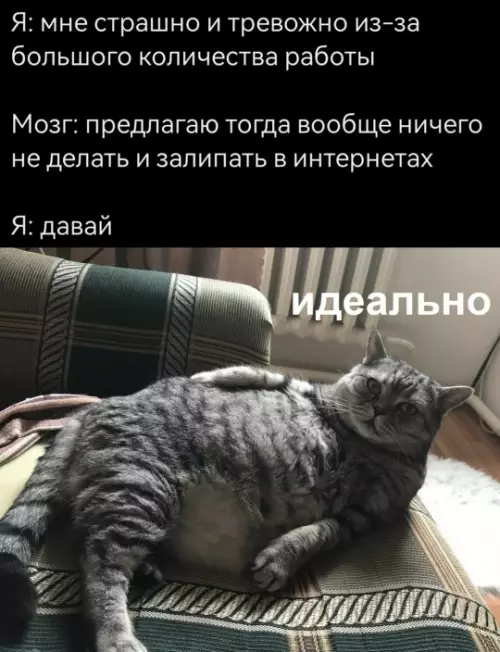 Смешная картинка №788984