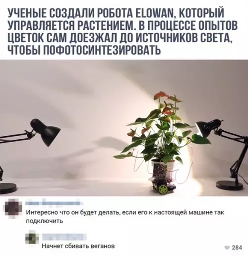Смешная картинка №317751 ?