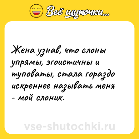 Шутка: Жена узнав, что слоны упрямы, эгоистичны и туповаты, стала гораздо искреннее называть меня - мой слоник.