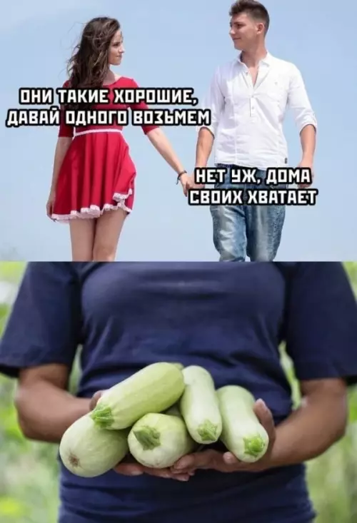 Смешная картинка №654509
