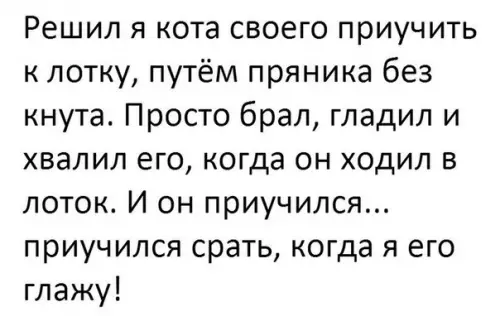 Смешная картинка №215075