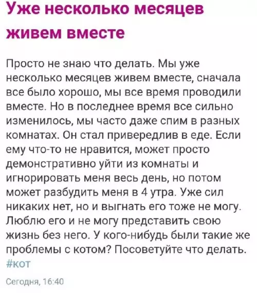 Смешная картинка №669475