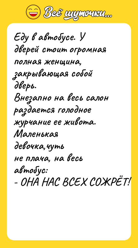 Еду в автобусе. У дверей стоит огромная  полная женщина,