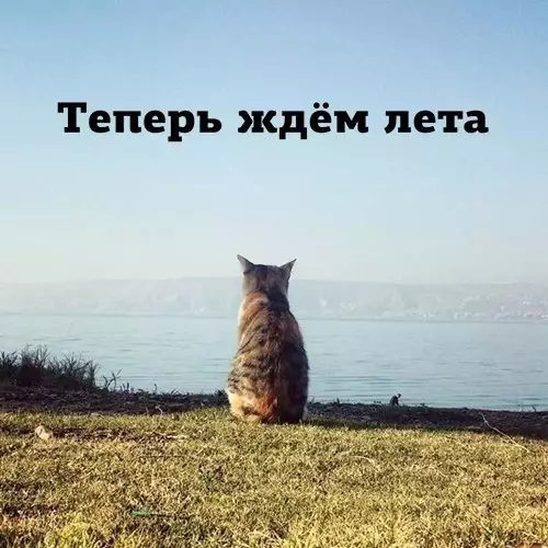 Смешная картинка №437231