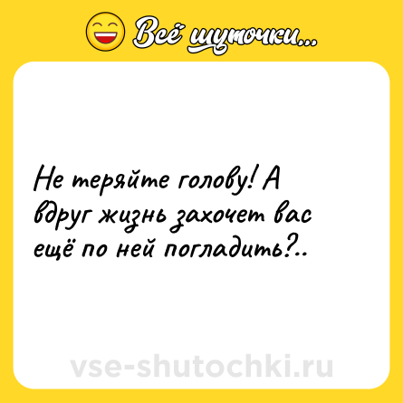 Шутка: Не теряйте голову! А вдруг жизнь захочет вас ещё по ней погладить?..