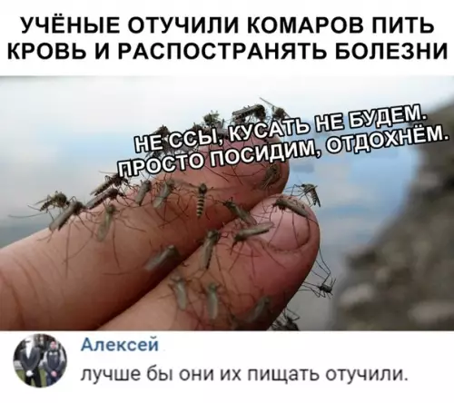Смешная картинка №332430