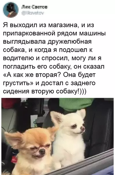 Смешная картинка №468800 Maкcимaльно мило