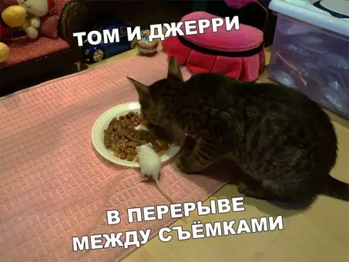 Смешная картинка №405950