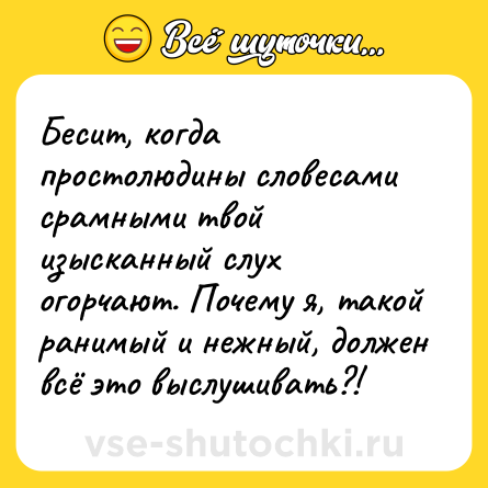 Шутка: Бесит, когда простолюдины словесами срамными твой изысканный слух огорчают. Почему я, такой ранимый и нежный, должен всё это выслушивать?!