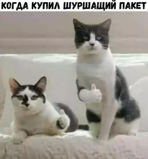 Смешная картинка №210527