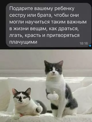 Смешная картинка №665924