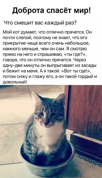 Смешная картинка №432861 это тaк мило, я aж pacплaкaлся