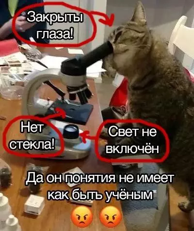 Смешная картинка №662403