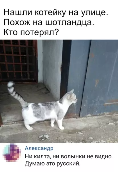 Смешная картинка №323508