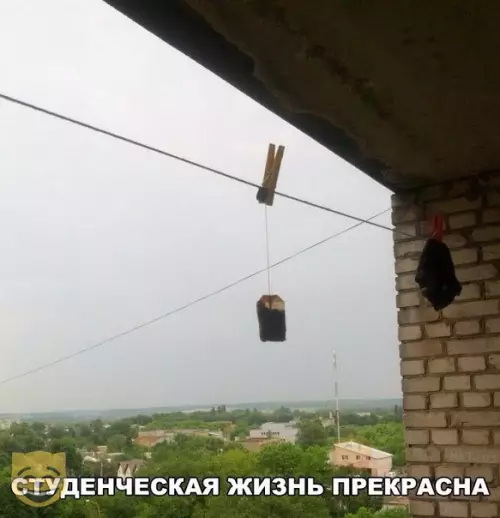 Смешная картинка №336052 #приколы #картинки #мемы ? студент