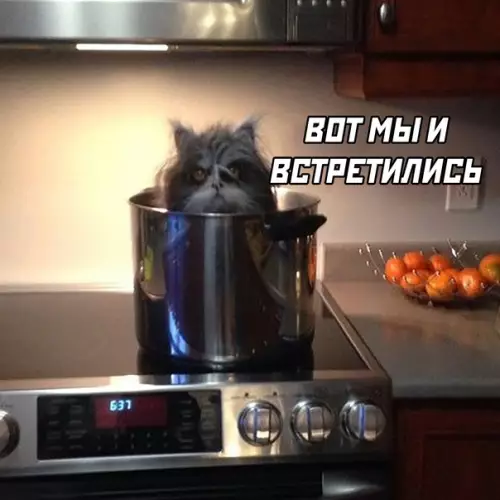 продолжение Смешная картинка №590679
