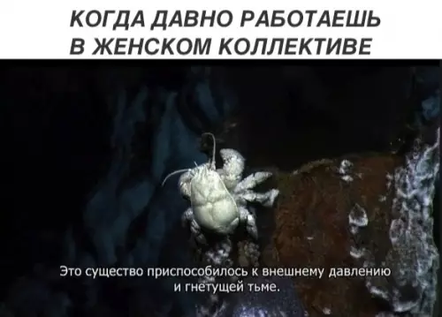 Смешная картинка №306380