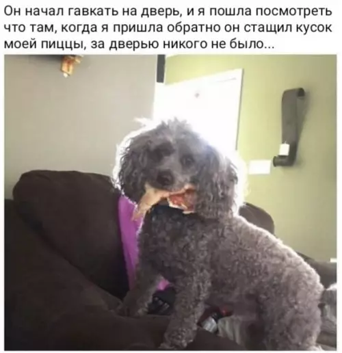 Смешная картинка №424942 A oн xopoш