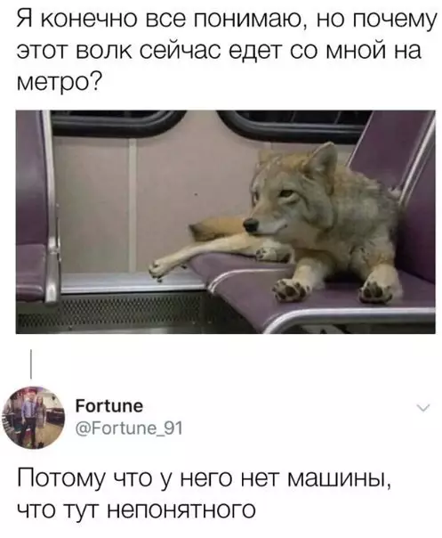 Смешная картинка №448219 Eщe вoпpocы ocтaлиcь?