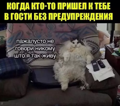 Смешная картинка №452294 А друг говорит " не парься все нормально"??