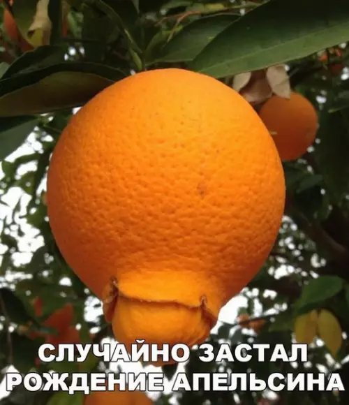 Смешная картинка №181459
