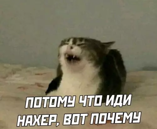 продолжение Смешная картинка №568069