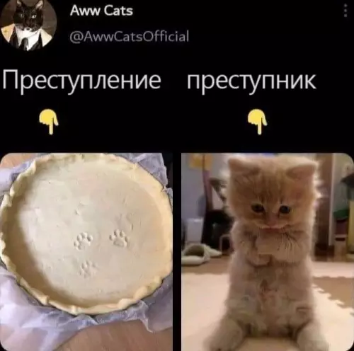 Смешная картинка №703198