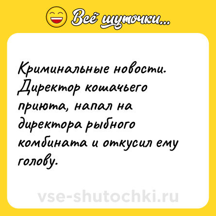 Шутка: Криминальные новости. Директор кошачьего приюта, напал на директора рыбного комбината и откусил ему голову.