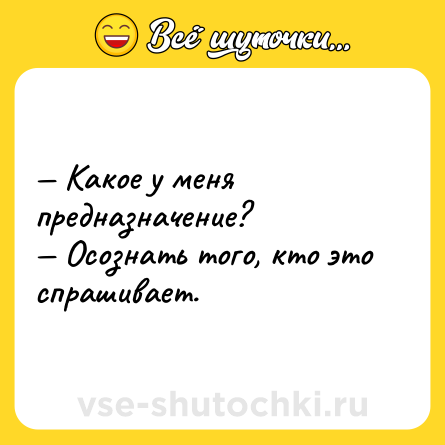 Шутка: — Какое у меня предназначение? <br>— Осознать того, кто это спрашивает.