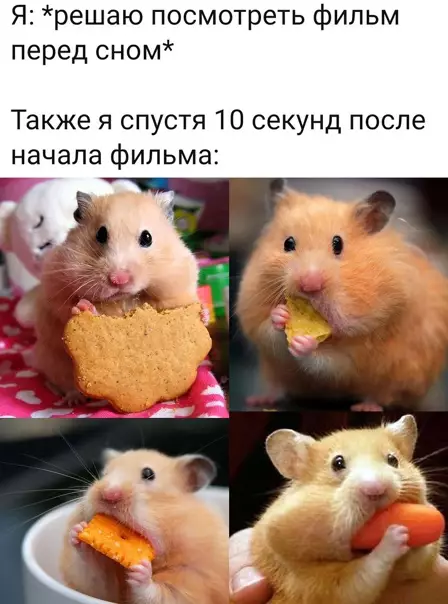 Смешная картинка №560872 Жизa