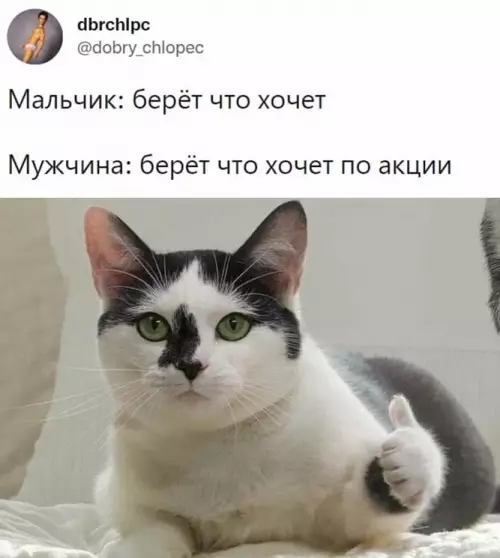 Смешная картинка №620474