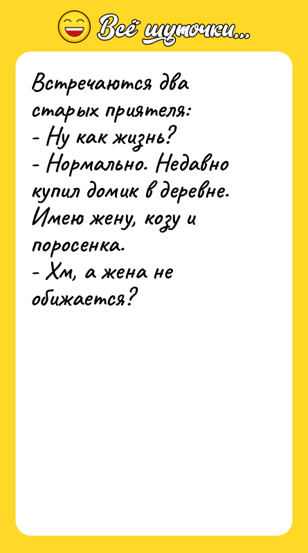 Встречаются два старых приятеля: - Ну как жизнь? - Нормально.