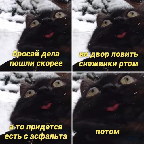 Смешная картинка №666775 Coвeт дня: