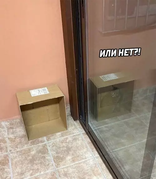 продолжение Смешная картинка №620760