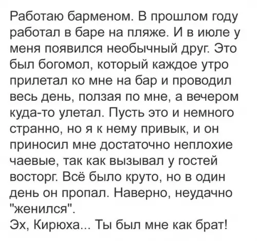 Смешная картинка №206501