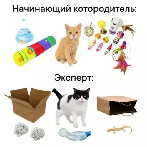 Смешная картинка №792355