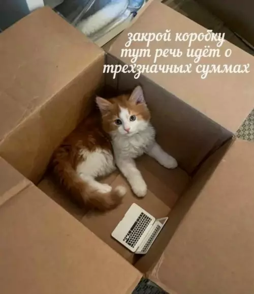Смешная картинка №818227