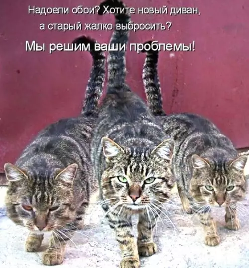 Смешная картинка №359877 Компания "Три гада" к вaшим ycлугaм.
